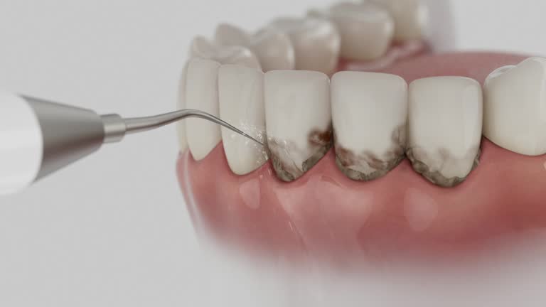 Reliable Dental contractor in Lisbon, ME by Dentist Open Now